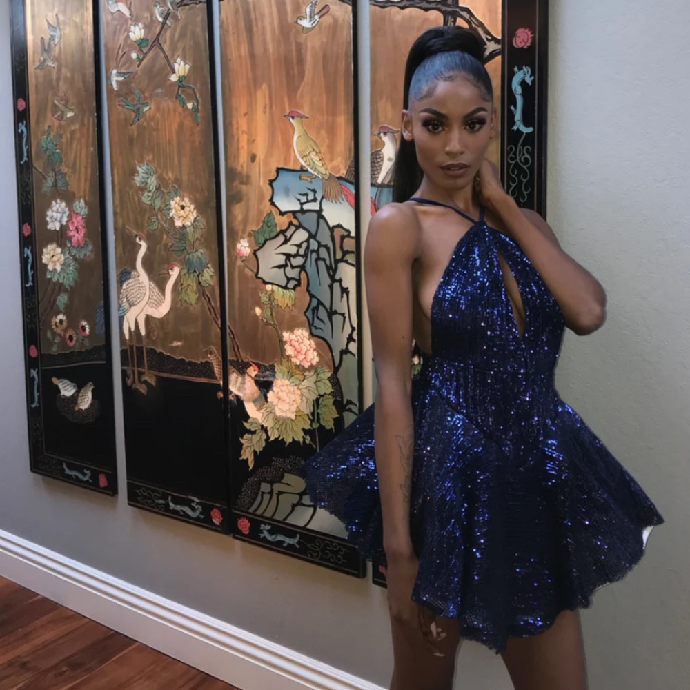 Thank You, Next Dress